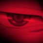 Crimson Fight of Deadly Beauties