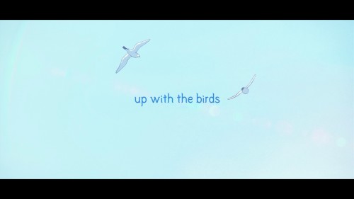 Up with the birds