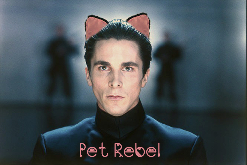 Pet Rebel