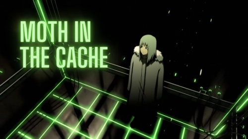 Moth in the Cache