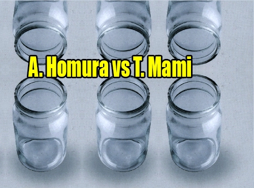 A. Homura vs T. Mami
