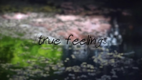 True Feelings