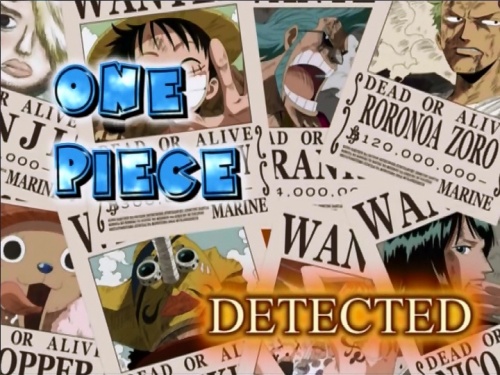 One Piece - DETECTED