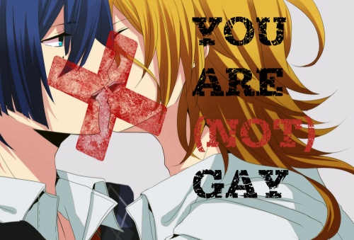 You are (not) gay