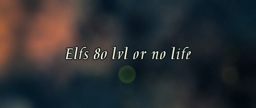Elf 80 lvl or no life