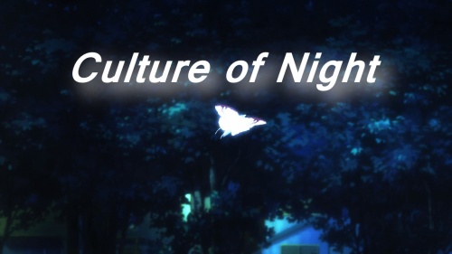 Culture of Night