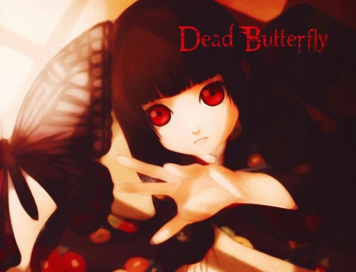 Dead Butterfly