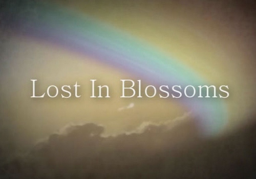 Lost In Blossoms