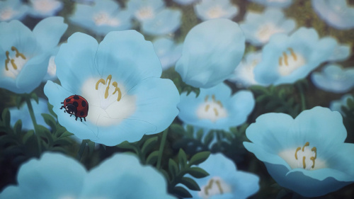 Live The Sunshine, Swim The Sea, Drink Wild Air