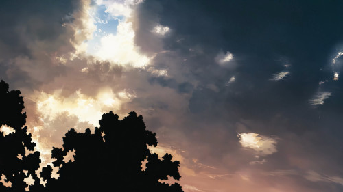 Live The Sunshine, Swim The Sea, Drink Wild Air